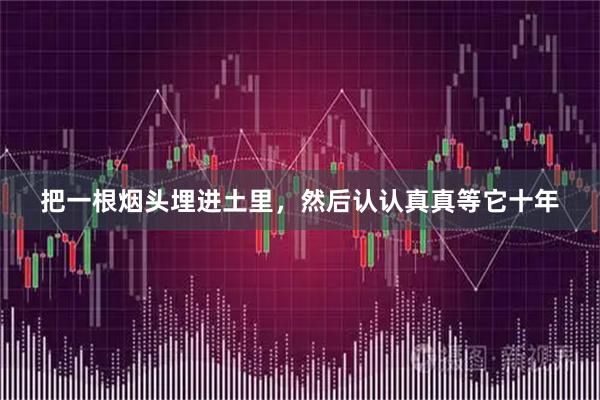 把一根烟头埋进土里，然后认认真真等它十年